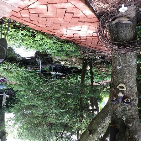 White Birches Inn Абингдън Екстериор снимка